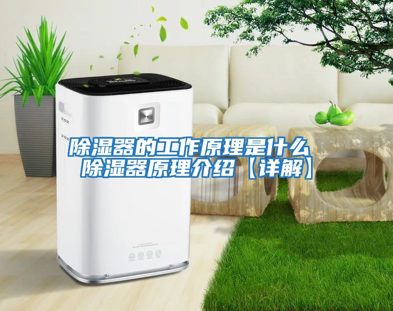 除濕器的工作原理是什么 除濕器原理介紹【詳解】