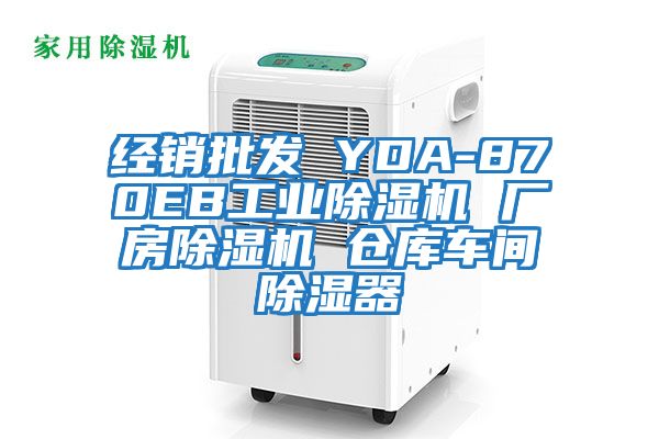 經(jīng)銷批發(fā) YDA-870EB工業(yè)除濕機 廠房除濕機 倉庫車間除濕器