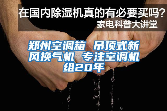 鄭州空調(diào)箱 吊頂式新風(fēng)換氣機 專注空調(diào)機組20年