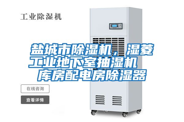 鹽城市除濕機，濕菱工業(yè)地下室抽濕機  庫房配電房除濕器