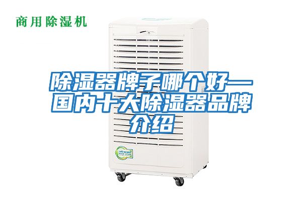 除濕器牌子哪個(gè)好—國(guó)內(nèi)十大除濕器品牌介紹