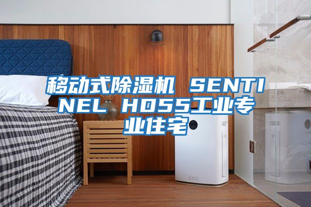 移動(dòng)式除濕機(jī) SENTINEL HD55工業(yè)專(zhuān)業(yè)住宅