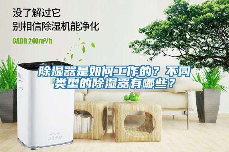 除濕器是如何工作的？不同類型的除濕器有哪些？