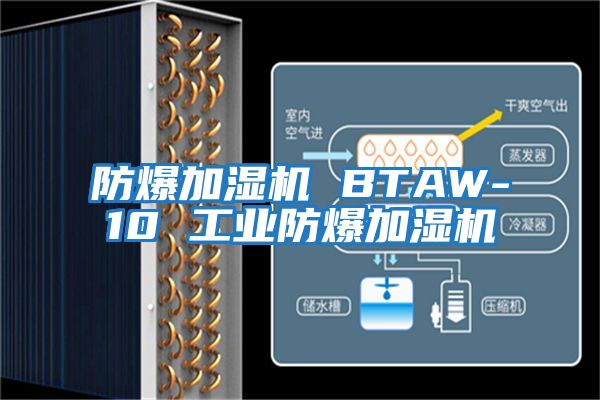 防爆加濕機(jī) BTAW-10 工業(yè)防爆加濕機(jī)