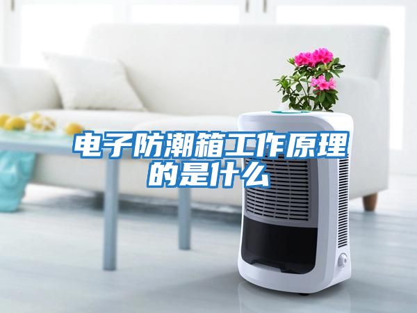 電子防潮箱工作原理的是什么