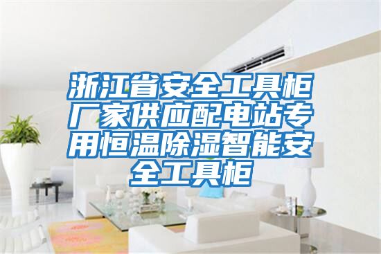 浙江省安全工具柜廠家供應(yīng)配電站專用恒溫除濕智能安全工具柜