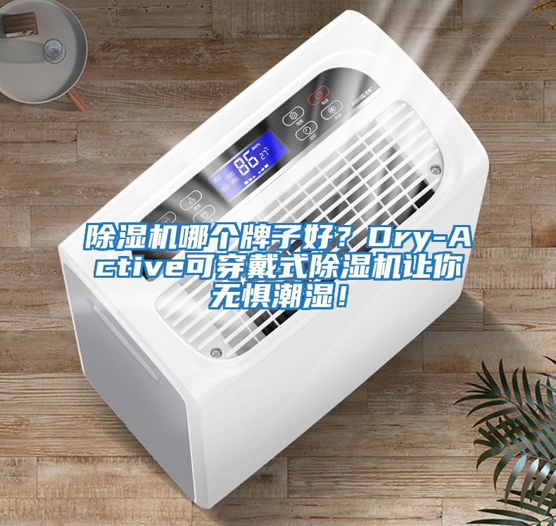 除濕機哪個牌子好？Dry-Active可穿戴式除濕機讓你無懼潮濕！