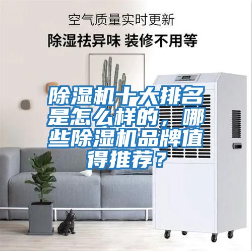 除濕機十大排名是怎么樣的，哪些除濕機品牌值得推薦？