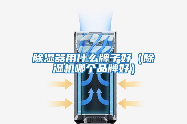 除濕器用什么牌子好（除濕機哪個品牌好）