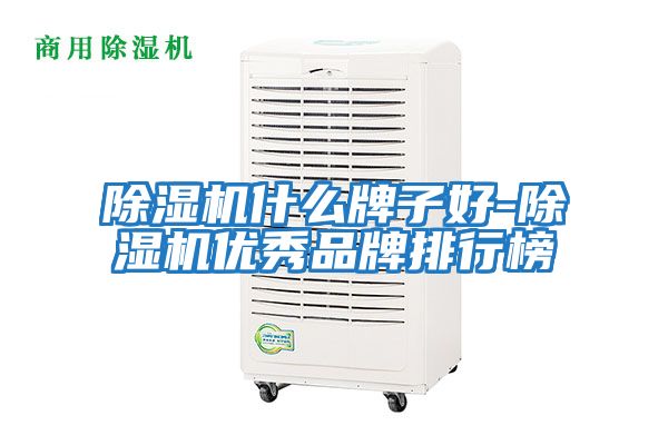 除濕機(jī)什么牌子好-除濕機(jī)優(yōu)秀品牌排行榜