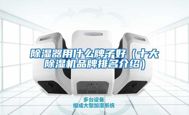 除濕器用什么牌子好（十大除濕機品牌排名介紹）