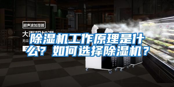 除濕機(jī)工作原理是什么？如何選擇除濕機(jī)？