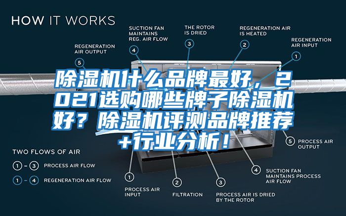 除濕機(jī)什么品牌最好，2021選購哪些牌子除濕機(jī)好？除濕機(jī)評測品牌推薦+行業(yè)分析！