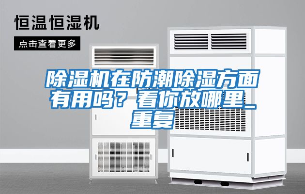 除濕機在防潮除濕方面有用嗎？看你放哪里_重復