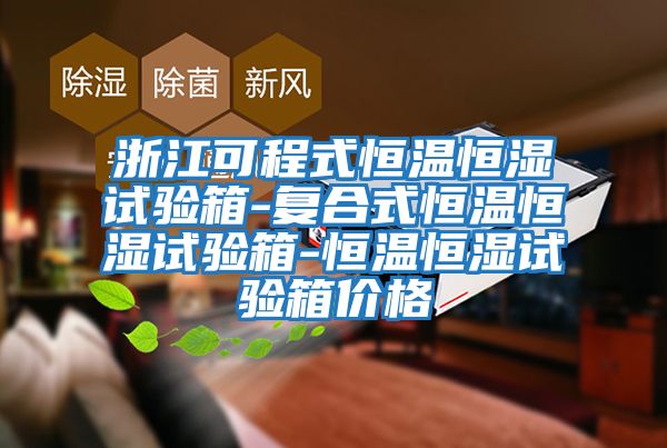 浙江可程式恒溫恒濕試驗箱-復合式恒溫恒濕試驗箱-恒溫恒濕試驗箱價格