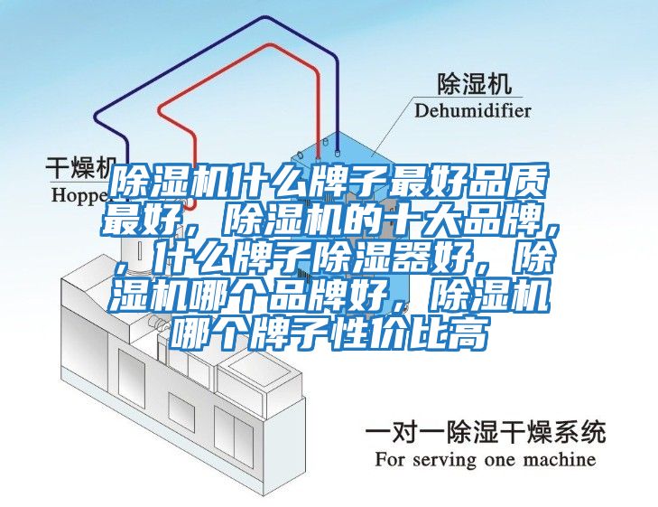 除濕機(jī)什么牌子最好品質(zhì)最好，除濕機(jī)的十大品牌，，什么牌子除濕器好，除濕機(jī)哪個(gè)品牌好，除濕機(jī)哪個(gè)牌子性價(jià)比高