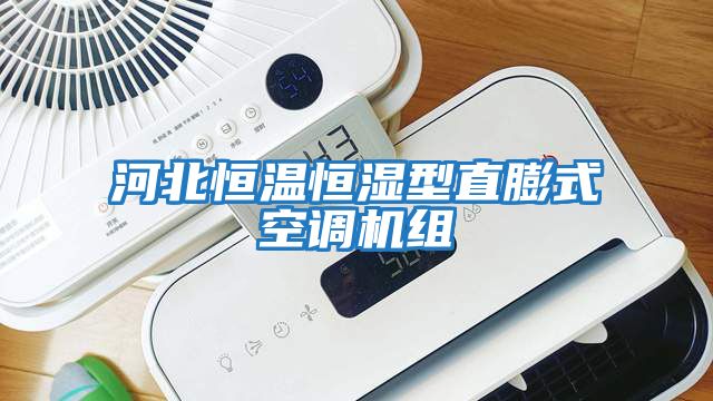 河北恒溫恒濕型直膨式空調(diào)機組