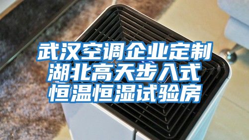 武漢空調(diào)企業(yè)定制湖北高天步入式恒溫恒濕試驗房