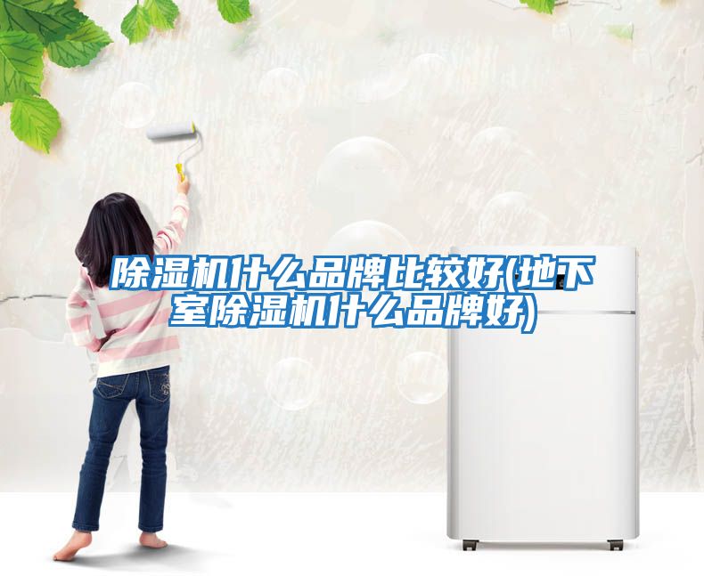 除濕機(jī)什么品牌比較好(地下室除濕機(jī)什么品牌好)