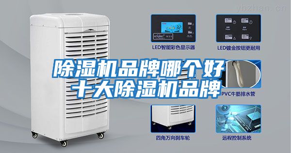 除濕機(jī)品牌哪個(gè)好 十大除濕機(jī)品牌