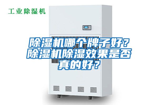 除濕機哪個牌子好？除濕機除濕效果是否真的好？