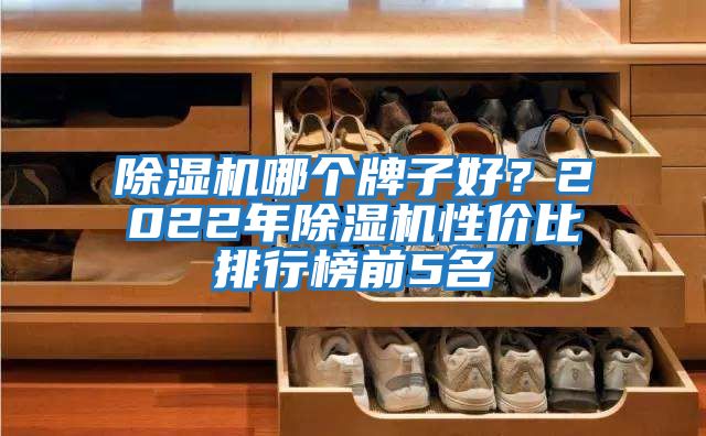 除濕機哪個牌子好？2022年除濕機性價比排行榜前5名