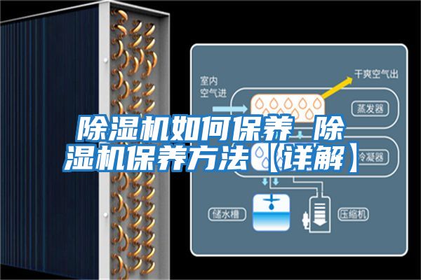 除濕機如何保養(yǎng) 除濕機保養(yǎng)方法【詳解】