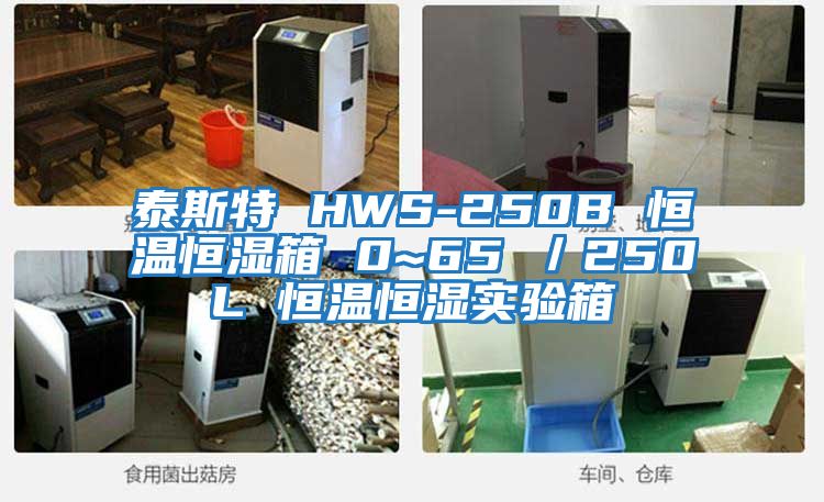 泰斯特 HWS-250B 恒溫恒濕箱 0~65℃／250L 恒溫恒濕實(shí)驗(yàn)箱