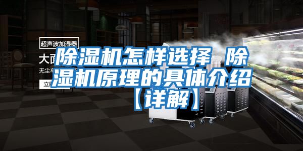 除濕機怎樣選擇 除濕機原理的具體介紹 【詳解】