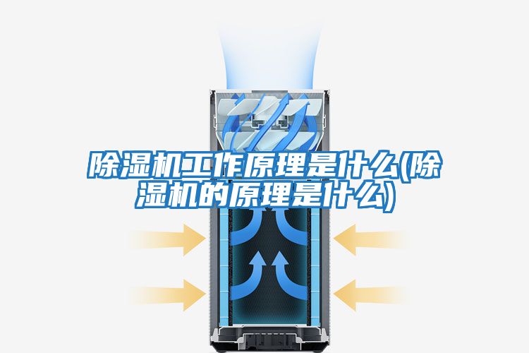 除濕機工作原理是什么(除濕機的原理是什么)