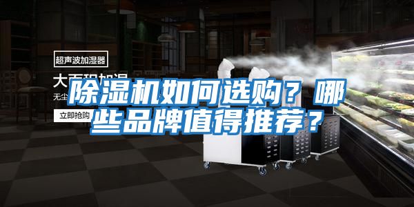 除濕機(jī)如何選購？哪些品牌值得推薦？