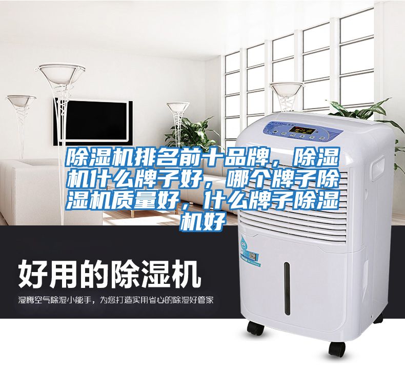 除濕機排名前十品牌，除濕機什么牌子好，哪個牌子除濕機質(zhì)量好，什么牌子除濕機好