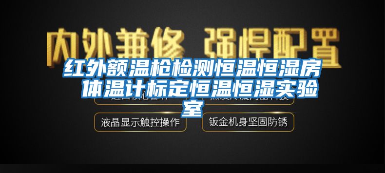 紅外額溫槍檢測恒溫恒濕房 體溫計標(biāo)定恒溫恒濕實驗室