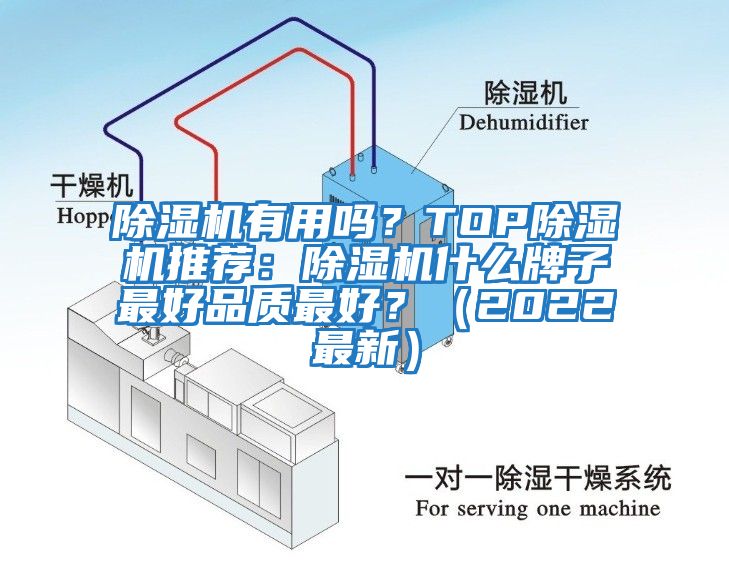 除濕機有用嗎？TOP除濕機推薦：除濕機什么牌子最好品質(zhì)最好？（2022最新）