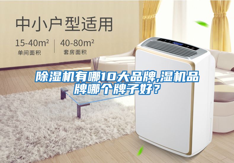 除濕機有哪10大品牌,濕機品牌哪個牌子好？