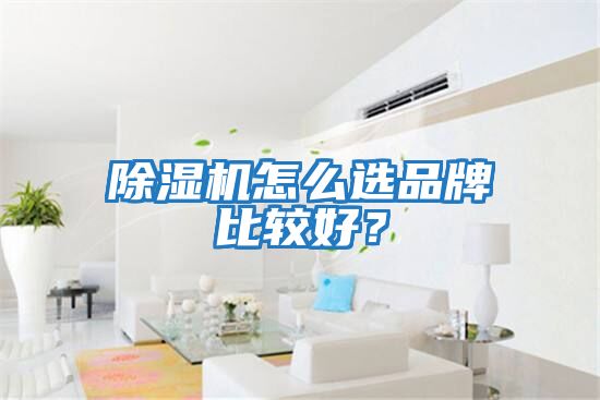 除濕機(jī)怎么選品牌比較好？