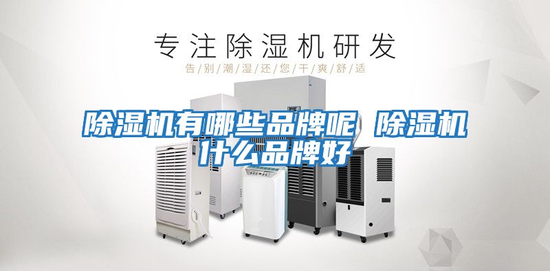 除濕機有哪些品牌呢 除濕機什么品牌好