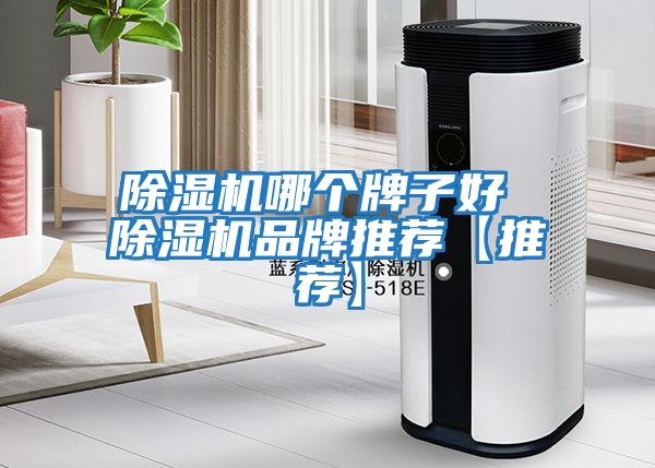 除濕機哪個牌子好 除濕機品牌推薦【推薦】