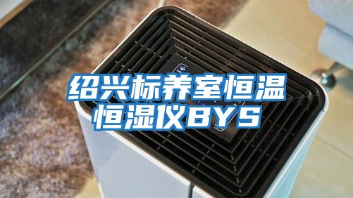 紹興標養(yǎng)室恒溫恒濕儀BYS