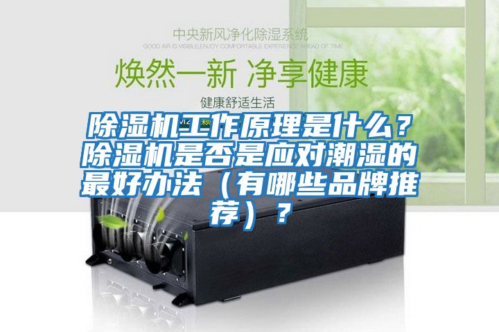 除濕機(jī)工作原理是什么？除濕機(jī)是否是應(yīng)對潮濕的最好辦法（有哪些品牌推薦）？