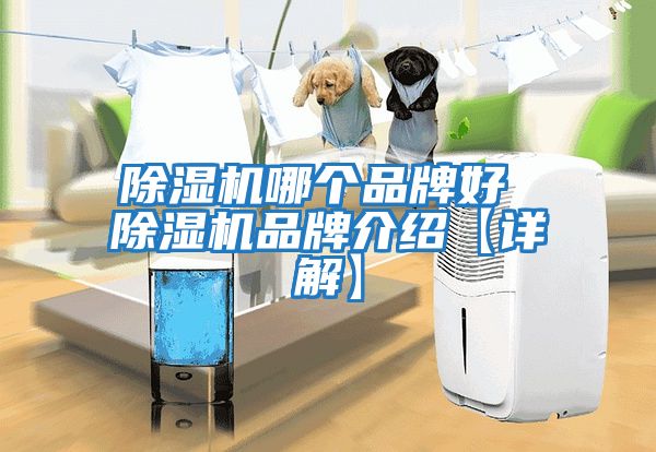 除濕機哪個品牌好 除濕機品牌介紹【詳解】