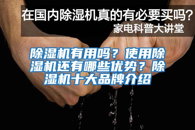 除濕機有用嗎？使用除濕機還有哪些優(yōu)勢？除濕機十大品牌介紹