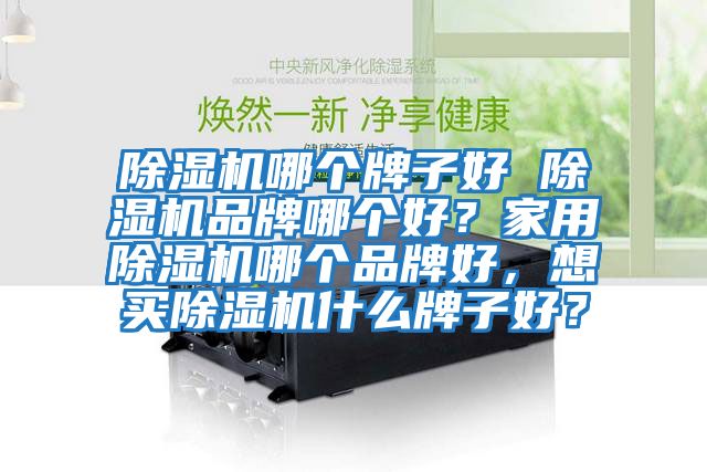 除濕機哪個牌子好 除濕機品牌哪個好？家用除濕機哪個品牌好，想買除濕機什么牌子好？