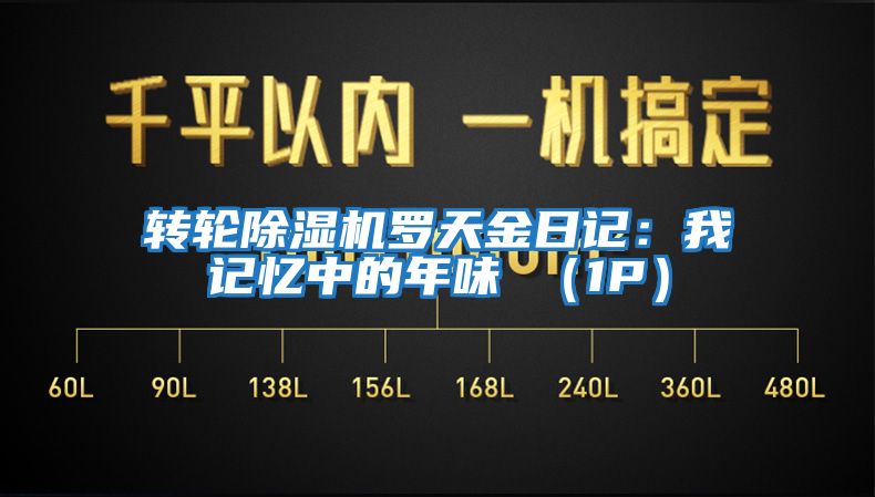 轉(zhuǎn)輪除濕機(jī)羅天金日記：我記憶中的年味 （1P）