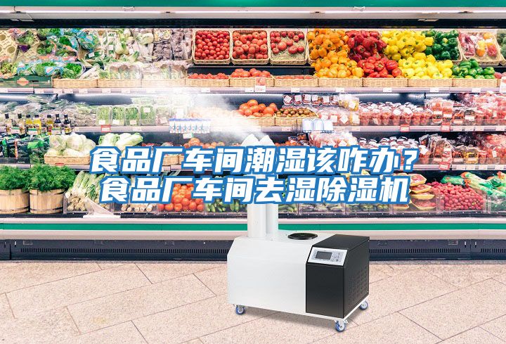 食品廠車間潮濕該咋辦？食品廠車間去濕除濕機(jī)