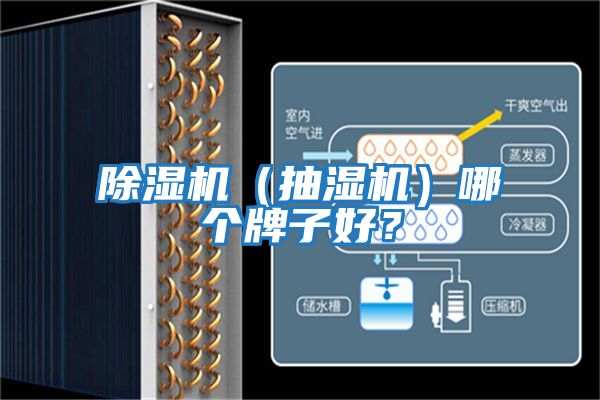 除濕機(jī)（抽濕機(jī)）哪個(gè)牌子好？
