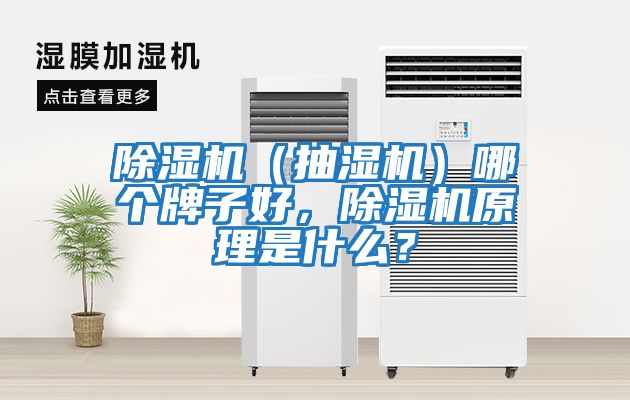 除濕機（抽濕機）哪個牌子好，除濕機原理是什么？