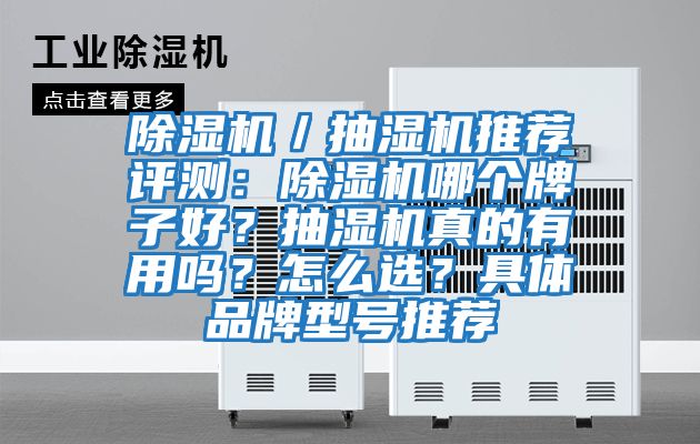 除濕機／抽濕機推薦評測：除濕機哪個牌子好？抽濕機真的有用嗎？怎么選？具體品牌型號推薦