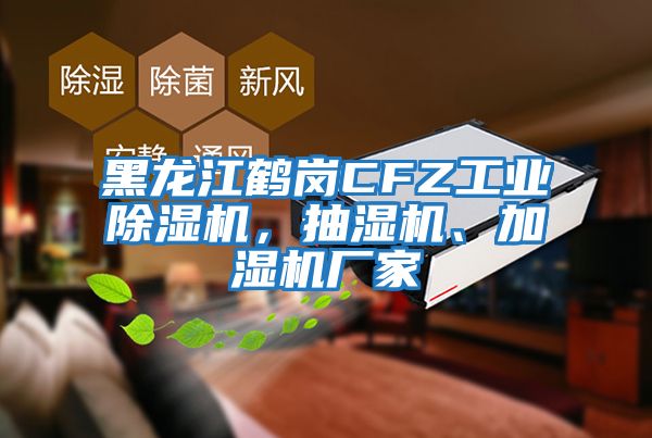 黑龍江鶴崗CFZ工業(yè)除濕機，抽濕機、加濕機廠家