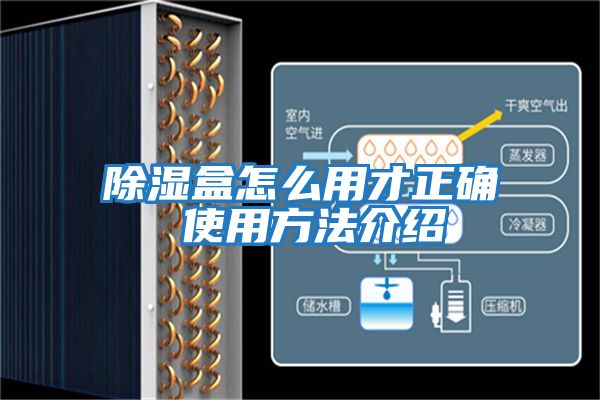 除濕盒怎么用才正確 使用方法介紹